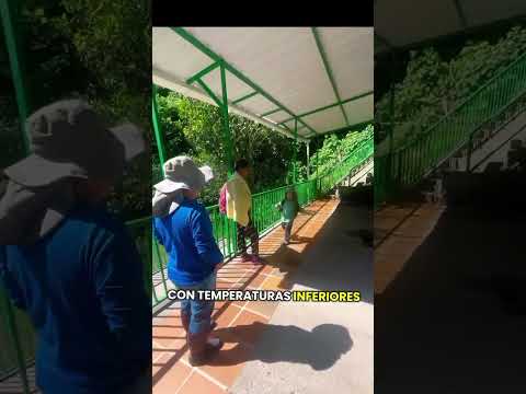 Balneario Los Termales Municipio de Peque Antioquia #Turismo #PequeAntioquia #TurismoComunitario