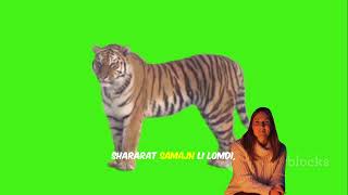 Download the video "October 2, 2025"