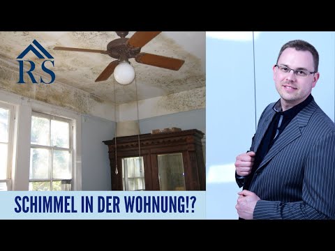 Schimmel in der Wohnung?! Was musst Du jetzt tun?