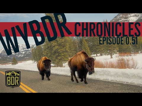 WYBDR Chronicles Episode 0.51