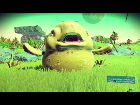 The Blessing of the Blob