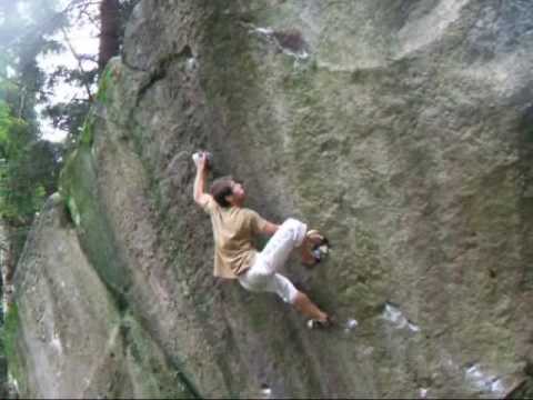 Martin Stráník - Zlatý Drak SD 8B, Bor