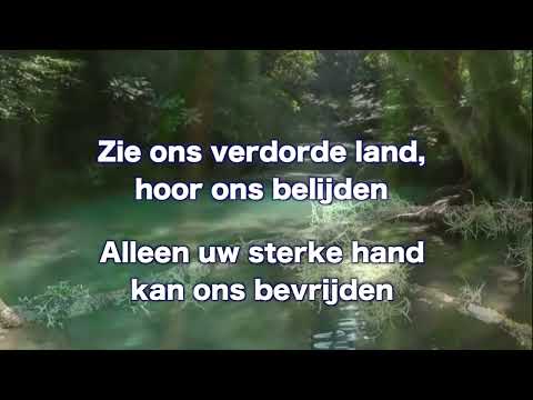 Opwekking 487 O Heer, giet een stroom van water