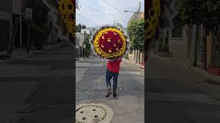 El ramo más grande de la historia!  Ramo de 500 rosas con 50 girasoles #ramobuchon #floreselpatron