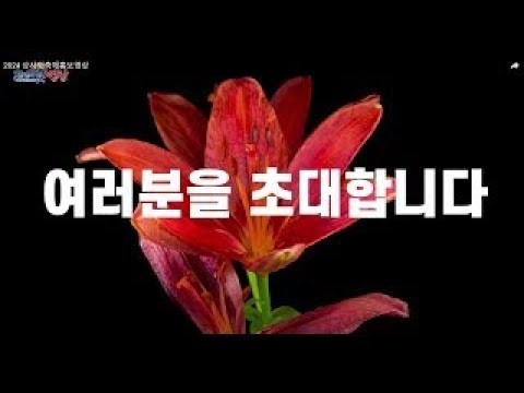 제24회 영광불갑산상사화축제 홍보영상