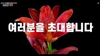 제24회 영광불갑산상사화축제 홍보영상