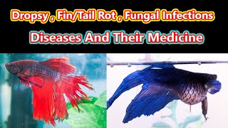 2. Dropsy, Fin/Tail Rot, Fungal Infection நோய்கள் வந்தால் என்ன செய்ய வேண்டும்? / Fish Aquarium Tamil