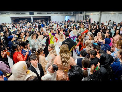 Hakim Lokman / Hemdiye & Mahsum /Aslan Deko/Part02/ #DilocanPro #Hochzeit #Wedding #Kurdish #Dilocan