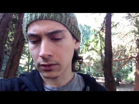 Root Images in Philosophies of Difference