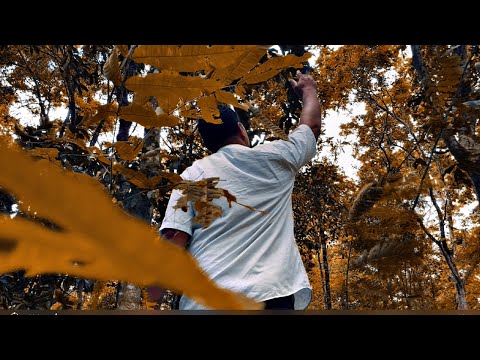 Sinapi Logovi’i - Iesu e talia maia la'u tatalo (Suliveta Kurene Cover) (Official Music Video)