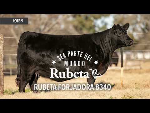 9   RUBETA FORJADORA 8340