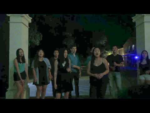 Unsteady | StanzaFinal Concert 2017