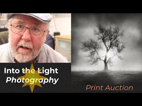 Contre Jour, Into the Light Photography, creating dramatic images, print for sale