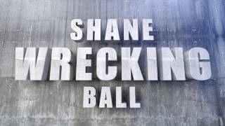 WreckingBALLS - Miley Cyrus Wrecking Ball PARODY