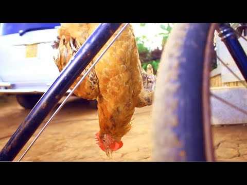 [Eng kadonya] Non stop [Vol 119] Enyimba Za Lubaale [0756667392] Orignal]  UGANDAN MUSIC 2025__2026