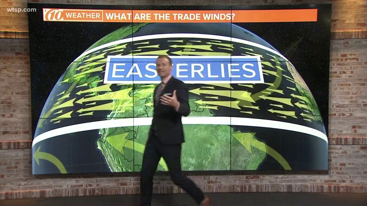 What are the trade winds?