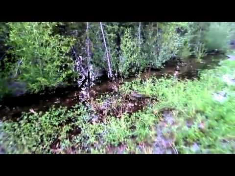 Silver Trout Estates: An Environmental Disaster