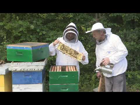 Boja meda ep. 65 04.06.2019. NAJAVA