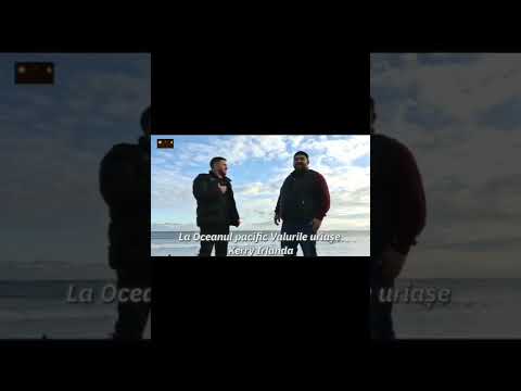 fernando & Marius din barbulesti _în orice furtună