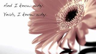 Chase Coy Angel Lyric Video