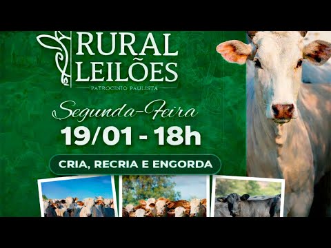 ✅📌 Leilão Virtual e Presencial Rural Leilões - Patrocínio Paulista/SP