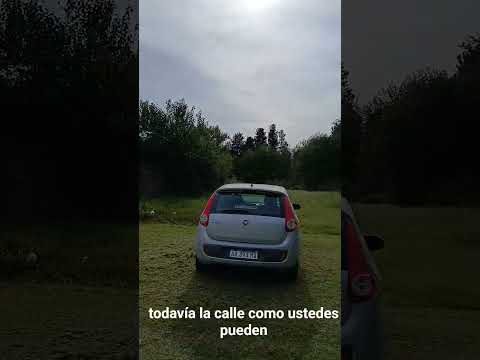 Sauce Montrull. Dto. Sauce. Parana Campaña. Entre Rios. Parte 4