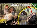 We Setup IN THE WATER South Carolina Turkey Hunting