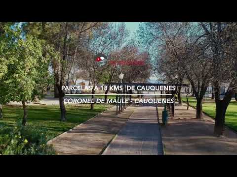 Parcelas en Coronel de maule, Pelluhue.