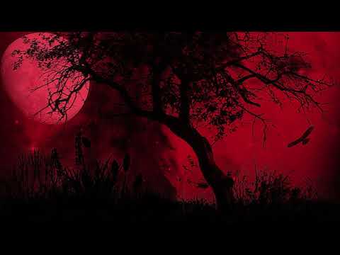 Acidpach vs ChôKô - Hölle [Tekno]