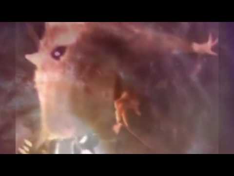 JUICE TBG- Wyścig /produkcja FeRu