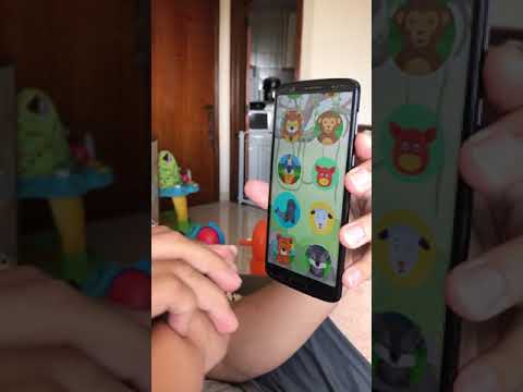 Zoo Babies - Sons de animais Video