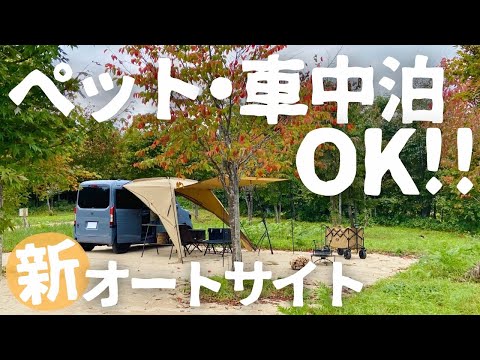 ジャングルキャンプ: ルーカス・コルダリスが携帯電話を手渡す