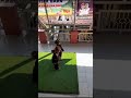 Upacara Adat Anak TK PAUD Ki Lengser Nya Lucu