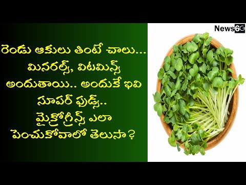 microgreens harvester in telugu