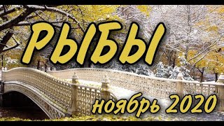 РЫБЫ ♓НОЯБРЬ 2020 ? ТАРО ПРОГНОЗ