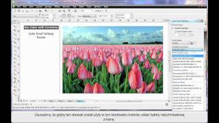 PL - 05 What's New - Use Color with Certainty.mov