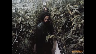 Damian Marley ft. Stephen Marley, Wiz Khalifa, Ty Dolla $ign - Medication (Remix) @editbyheaf