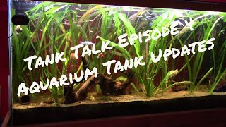 Tank Talk: Episode 4: Aquarium Tank Updates