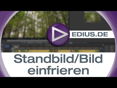EDIUS Podcast - Standbild/Bild einfrieren