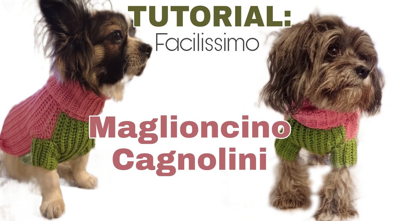 TUTORIAL: DOG PULL come realizzare un maglioncino per cani , facilissimo!