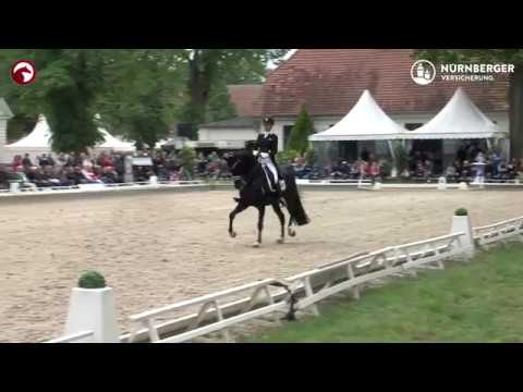 3. Finalqualifikation Pferdefestival Redefin 2019