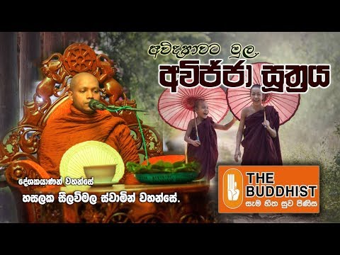 අවිද්‍යාවට මුල, අවිජ්ජා  සූත්‍රය (avijja sutta) HASALAKA SEELAWIMALA THERO