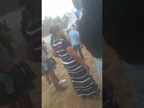 14 de novembro de 2024