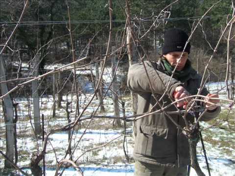 Primorci na snegu audio by Simspajt 2001.wmv