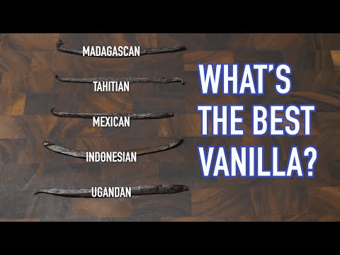 Madagascar, Mexican, French vanilla? Tasting 5 types of vanilla beans