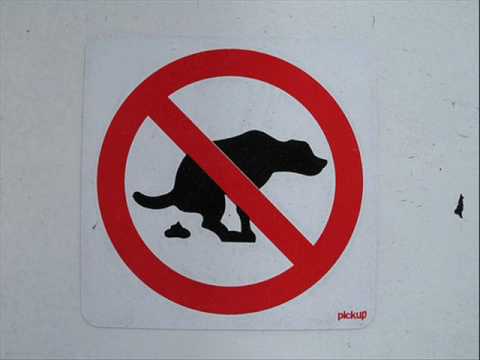 DSC (Ed Cox & Stivs) - It's a pity RMX