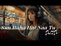 Sun Raha Hai Na Tu (Slowed + Reverb) | Lofi | Shreya Ghoshal | Aashiqui 2 | Melodious lofi