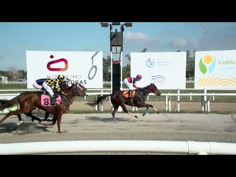 230616 c02 - RICKY TRICKY - HIPODROMO LAS PIEDRAS