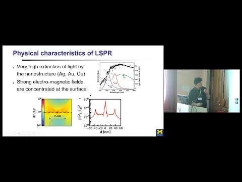 Suljo Linic - Flow and extraction of energy and charge carriers (...) | Nano meets Quantum 2022