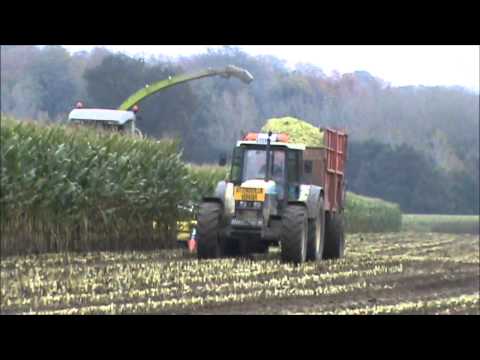 Loonw Dehenau - Steenhuize Wijnhuize